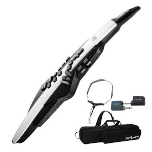Roland / AEROPHONE AE-20 GAtH fW^Ǌy sCXVXeZbgtyPNGz