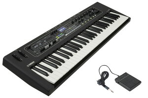 YAMAHA }n / CK61 [tbgXCb`(FC5)ZbgI] 61Xe[WL[{[hyYRKz