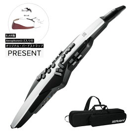 【あす楽対象商品】Roland / AEROPHONE AE-20 エアロフォン デジタル管楽器 ウインドシンセ《オリジナルBird Strap/+2100000442959》【PNG】