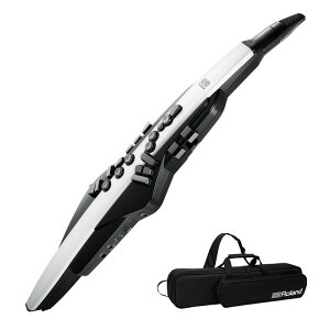 Roland / AEROPHONE AE-20 GAtH fW^Ǌy EChVZyPNGz
