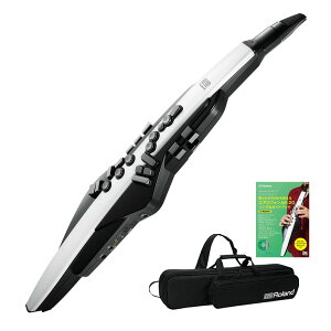 Roland / AEROPHONE AE-20 GAtH fW^Ǌy sItBVKChubNZbgtyPNGz