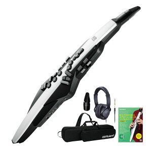 Roland / AEROPHONE AE-20 GAtH fW^Ǌy sItBVANZZbgtyPNGz