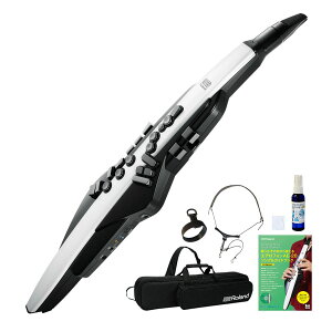 Roland / AEROPHONE AE-20 GAtH fW^Ǌy EChVZpXgbvt5_ZbgyPNGz