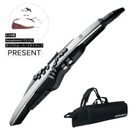 【あす楽対象商品】Roland / AEROPHONE PRO AE-30 エアロフォン デジタル管楽器《オリジナルBird Strap/+2100000442959》【PNG】