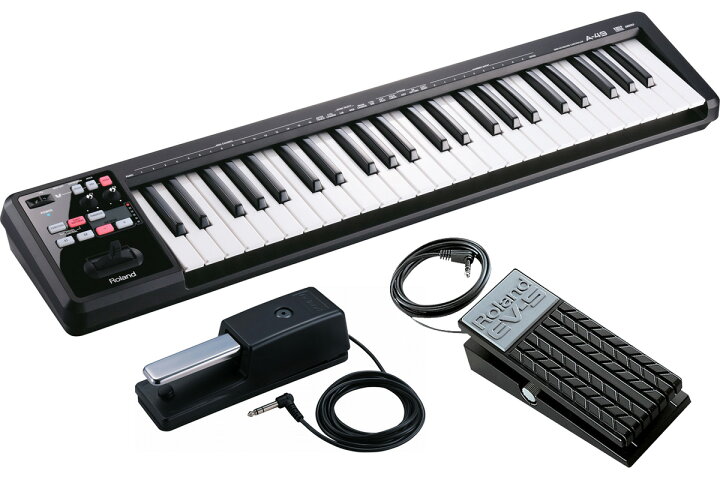 楽天市場】【あす楽対象商品】Roland / A-49 BK [ダンパーペダル DP-10 