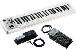 Roland / A-49 WH [_p[y_ DP-10 + GNXvbVEy_ EV-5 ZbgI] 49MIDIL[{[h(A49)yPNGz