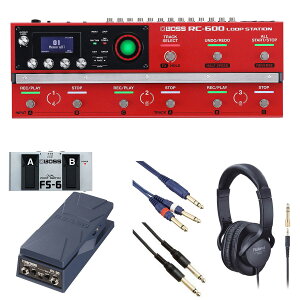 BOSS / RC-600 [p[ [R݂ɃTEhCNZbg] FS-6 + EV-30yPTNBz
