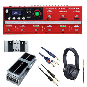 BOSS / RC-600 [p[ [R݂ɃTEhCNZbg] FS-6 + FV-500LyPTNBz