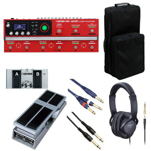 BOSS / RC-600 [p[ [IvVACe+bNLOobOZbg] FS-6 + FV-500HyPTNBz