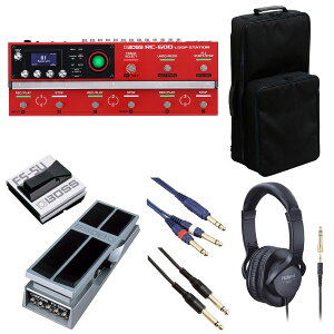 BOSS / RC-600 [p[ [IvVACe+bNLOobOZbg] FS-5U + FV-500LyPTNBz