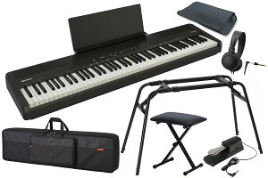 Roland ���[�����h / FP-40-BKB (�u���b�N) [�A�N�Z�T���[�Z�b�g�I](FP40)�yYRK�z