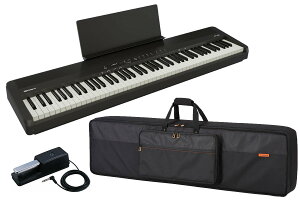 Roland ���[�����h / FP-40-BKB (�u���b�N) [�����P�[�X���y�_���Z�b�g�I](FP40)�yYRK�z