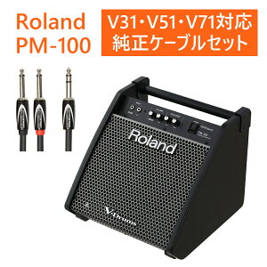 �yTD316�Ή��zRoland / PM-100 �d�q�h�����p���j�^�[�X�s�[�J�[ �����P�[�u���Z�b�g�yV31�Ή��z�yV51�Ή��z�yV71�Ή��z�yPNG�z