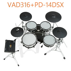 Roland / VAD316 �X�g���C�i�[�t���f�W�^���X�l�APD-14DSX�Z�b�g�yPNG�z
