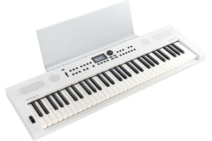 Roland [h / GOKEYS5-WH (GO:KEYS 5) zCg [pʗ MRGKS3/5 Zbg] Digital Keyboard
