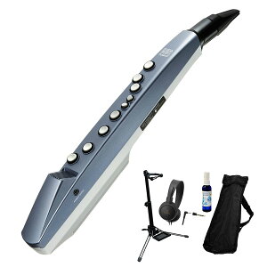 Roland [h / Aerophone mini AE-01 GAtH ~j wbhtH/X^h4_ZbgyPNGz