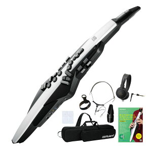 Roland / AEROPHONE AE-20 GAtH fW^Ǌy 6TZbgyPNGz