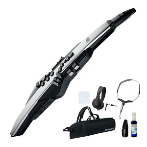 Roland / AEROPHONE PRO AE-30 GAtH fW^Ǌy IWiZbgyPNGz