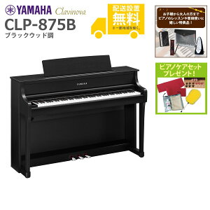 【全国組立設置無料】YAMAHA / CLP-875B ブラックウッド調 (Clavinova) 電子ピアノ《特典品プレゼント》《ピアノケアセットプレゼント》【代引不可】【PNG】