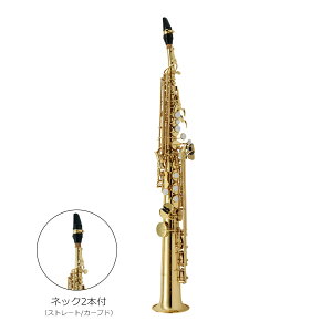 Antigua / SS GL AeBOA SOPRANOSAX GL X^_[hV[Y \vmTbNX bJ[dグsWqɕۊǂ̐VityoבOizy5Nۏ؁z