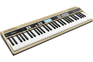 Roland [h / JUSTY HK-100 n[j[YKpL[{[hyYRKzyPTNBz