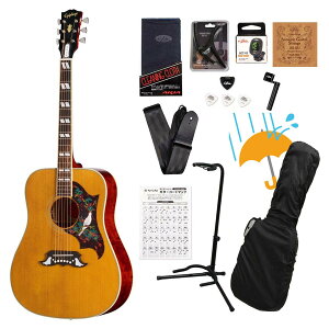 Epiphone / Inspired by Gibson Custom 1963 Dove Reissue Natural �G�s�t�H���A�R�M���卋��12�_���S�҃Z�b�gR�yYRK�z