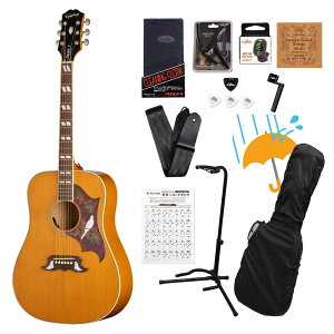 Epiphone / Studio Collection Dove Studio Natural �G�s�t�H���A�R�M���卋��12�_���S�҃Z�b�gR�yYRK�z
