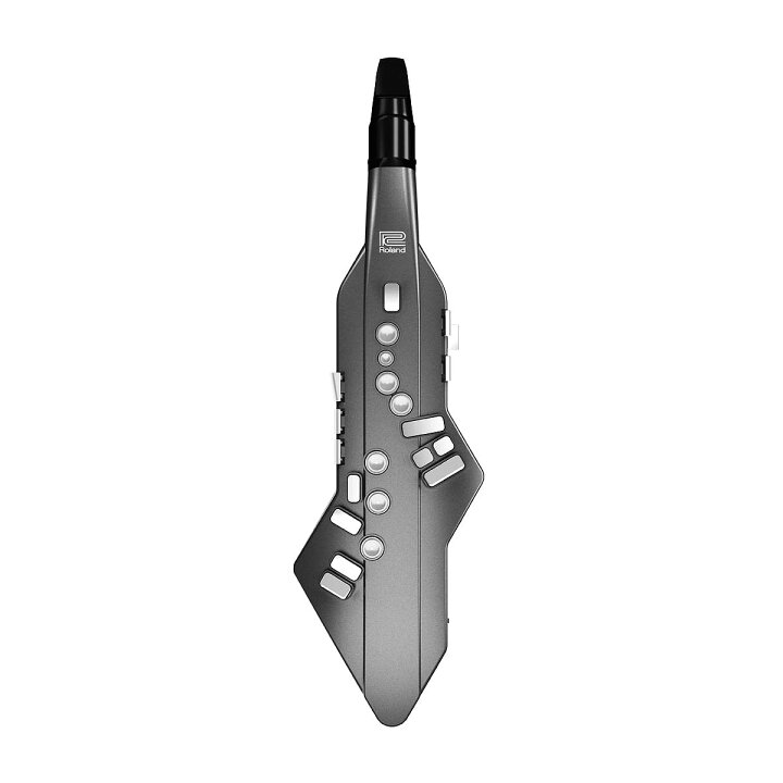 楽天市場】Roland / AE-05 Aerophone GO エアロフォン デジタル管楽器 