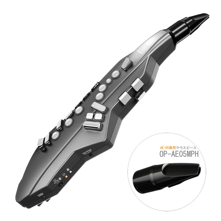 楽天市場】Roland / AE-05 Aerophone GO エアロフォン デジタル管楽器 