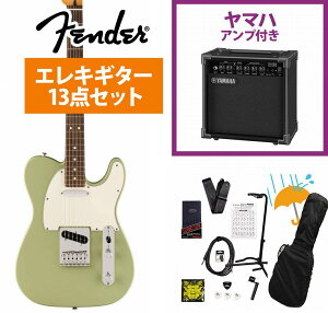 Fender / Player II Telecaster Rosewood FB Birch Green GLM^[ YAMAHA GA15IIAvtS҃ZbgRyYRKz