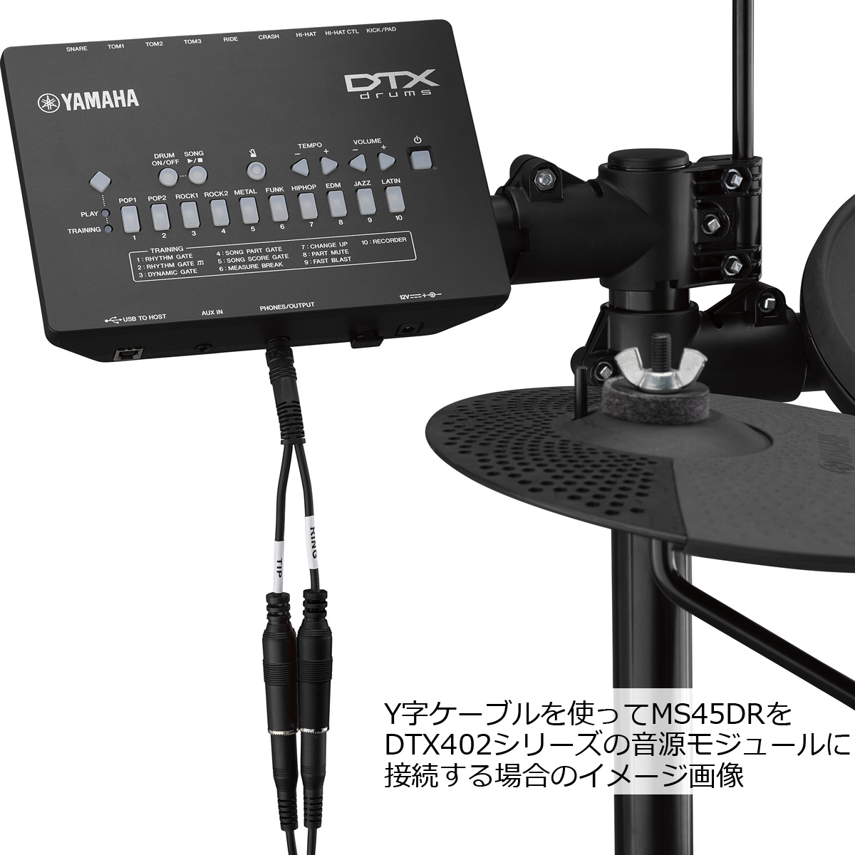 【あす楽対象商品】YAMAHA / MS45DR 電子ドラム用モニタースピーカー Y字ケーブル付き【DTX402シリーズ対応】【YRK】 |  イシバシ楽器　ＷＥＢ　ＳＨＯＰ