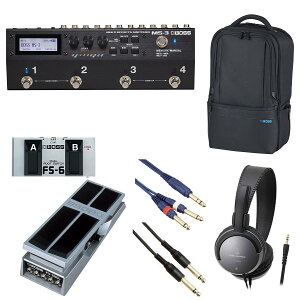 BOSS / MS-3 �}���`�X�C�b�`���[[�I�v�V�����A�C�e��+BOSS�����[�e�B���e�B�M�O�o�b�O] FS-6 + FV-500L�yPTNB�z