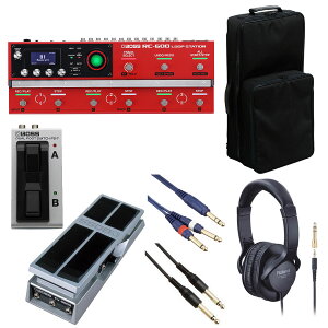 BOSS / RC-600 [p[ [IvVACe+bNLOobOZbg] FS-7 + FV-500HyPTNBz