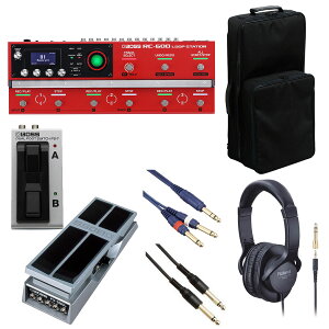 BOSS / RC-600 [p[ [IvVACe+bNLOobOZbg] FS-7 + FV-500LyPTNBz
