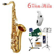楽天市場】e－sax テナーサックス 消音器の通販