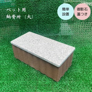 ybgp [ () e W