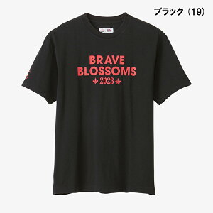 yzCanterbury J^x[ Or[ JAPAN S/S SPECTATOR TEE { XyNeC^[ TVc  EFA  ϐ X|[c uCuubT  Or[Vc Or[{\ 