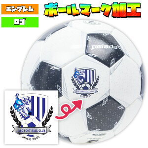 y{[4ȏゲw̕z GuESH {[}[NH