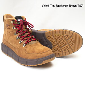 yzSOREL \ \GNXv[[3@uCU[ EH[^[v[t \u[c Y (NM5177 010 242)