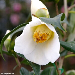 ց@c@@2N}ؕc@3(9cm|bg) i엿tjyA`DAzy֕c coLzy~͑fށzyԁzy~j~ czyԖ؁zyӏH̒ցzyց@c؁z
