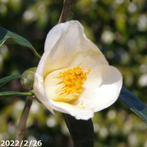  c@ 4N}ؕc@5i엿tjyA`DAzy֕c coLzy~͑f  Ԗ؁zyӏH̒ցzy c؁zy炫z _kki