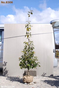 y10%OFFN[|ΏہI`11/11zց@c@Iׂ@Ζ{@ږ؍c@180-190cm i엿tj@yA`DAzy֕c coLzyA ؁zy Ԗ؁zyԁzy