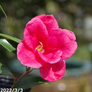  c@ܖ }5Nc 6i엿tjyA`DAzy֕c coLzy~j~ czyԖ؁zyrXPcoL ̏zy c؁z