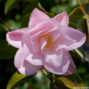  c@H 3N}ؕc 4i엿tjyA`DAzy֕c coLzyԖ؁zy c؁z