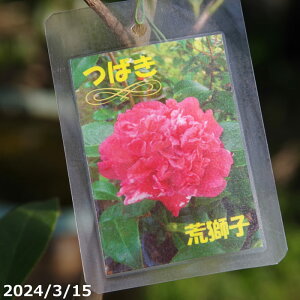  c@rqiBj 3N}ؕc 4.5 (엿tj yA`DAzy֕c coLzy~͑fށzyԁzyԖ؁zy c؁z