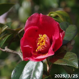  c@O͉_(_) 4N}ؕc 5 i엿tjyA`DAzy֕c coLzyԁzy~͑fށzyԖ؁zy c؁z