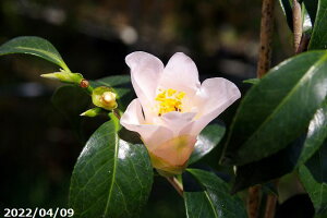 c@̉ 4N}ؕc 5 i엿tjyA`DAzy֕c coLzy~͑f  Ԗ؁z y c؁z _kki