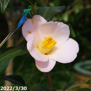 ց@c@H߁ij@2N}ؕc@3 i엿tj@yA`DAzy֕c coLzy~͑fށzyԁzyԖ؁zyց@c؁z