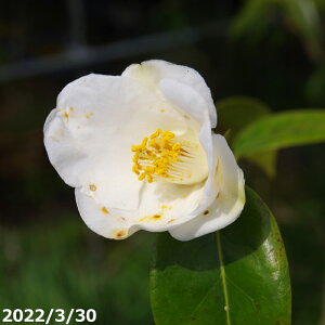  c@א 2N}ؕc 3(9cm|bg) i엿tjyA`DAzy֕c coLzy~͑f  Ԗ؁zyց@c؁z