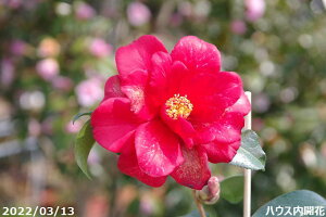 m c@t@CA[_X }4Nc 5 i엿tj@yA`DAzy֕c coLzyԖ؁zy c؁z _kki